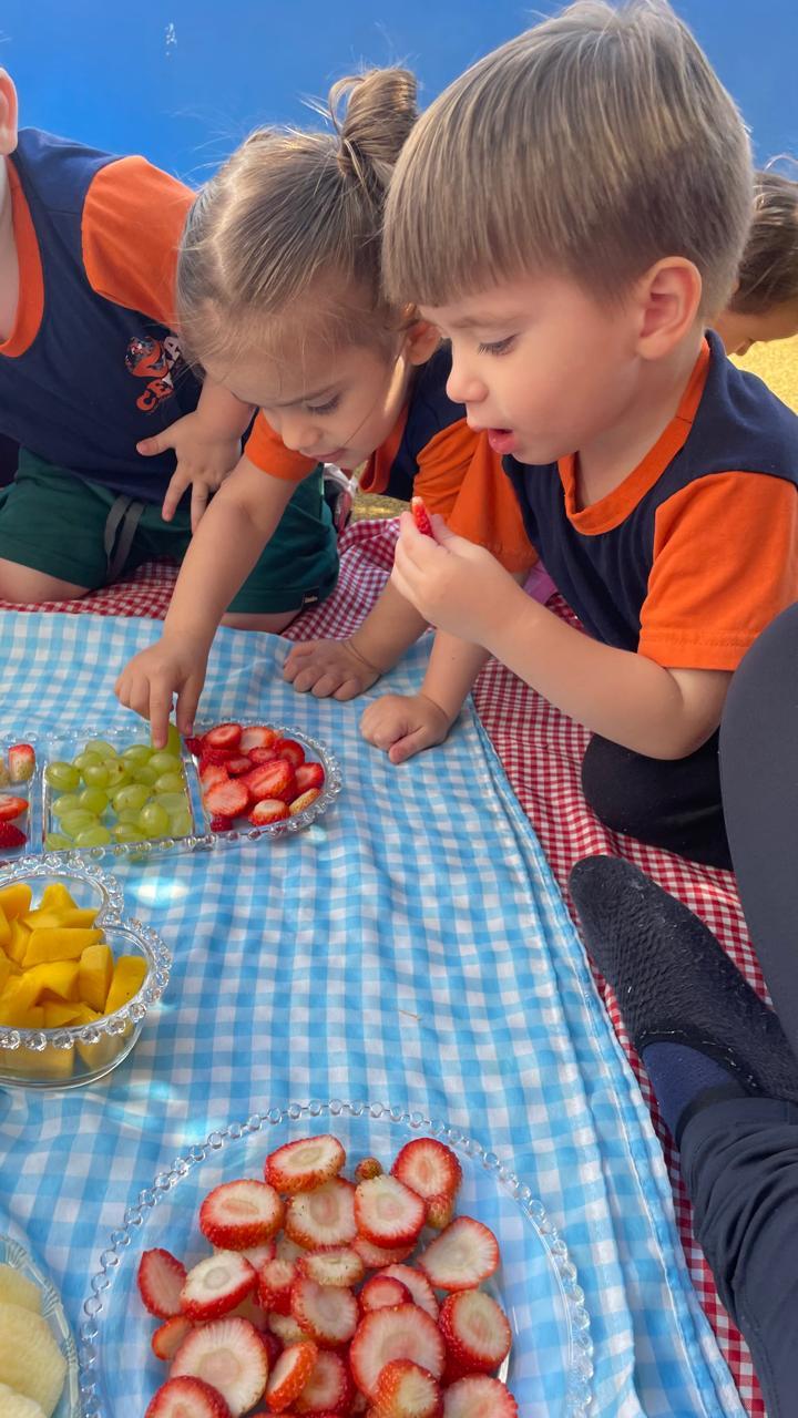 14 de novembro de 2025 Vespertino